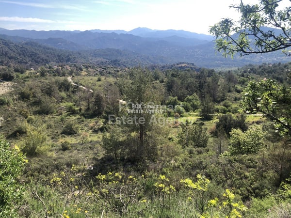 Land in Pera Pedi - view 1