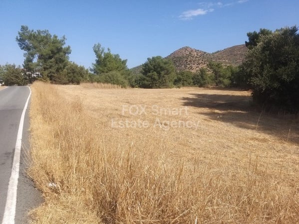 Land in Mosfiloti - view 1