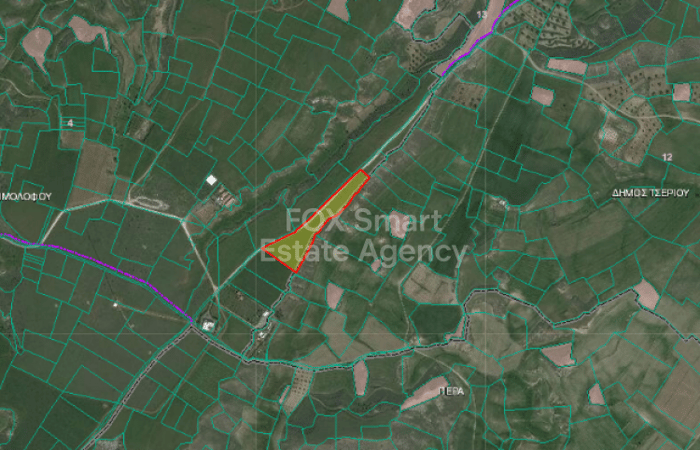 Land in Psimolofou - view 1