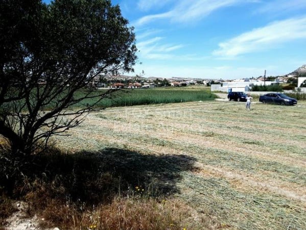 Land in Alampra - view 1