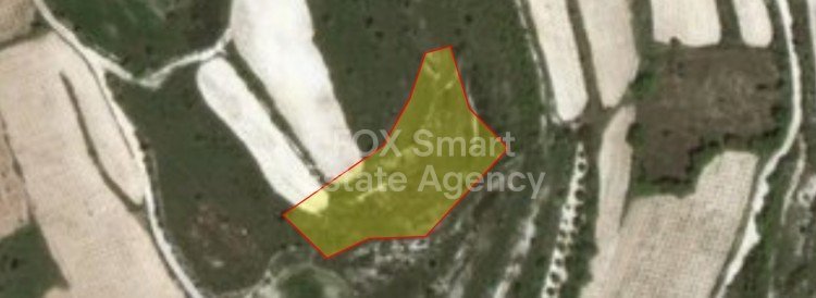 Land in Kathikas - view 1