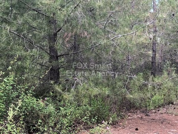 Land in Moniatis - view 1