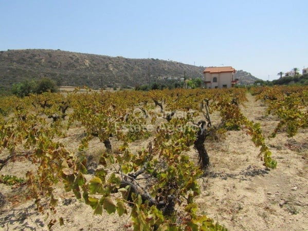 House in Pissouri - view 1