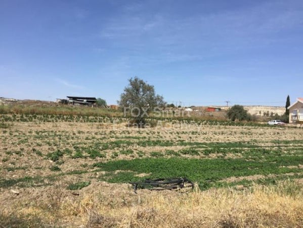 Land in Analiontas - view 1