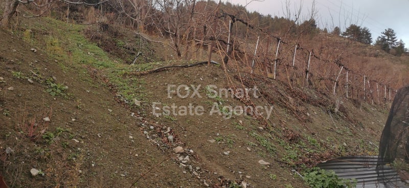 Land in Dymes - view 1