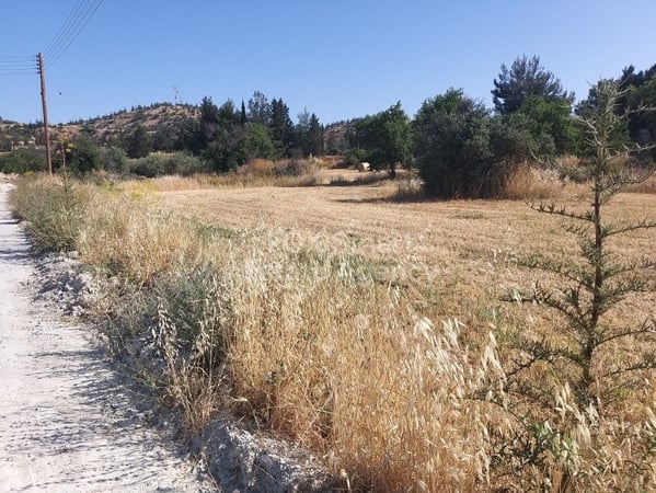 Land in Alampra - view 1