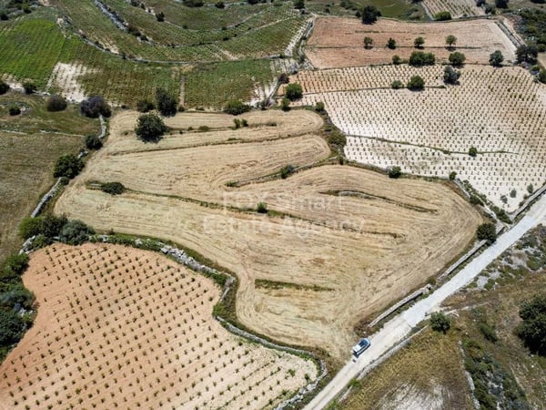 Land in Pachna - view 1