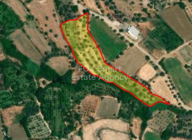 Land in Evrychou - view 1