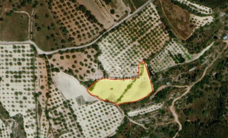 Land in Mesa Chorio - view 1