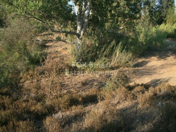 Land in Mitsero - view 1