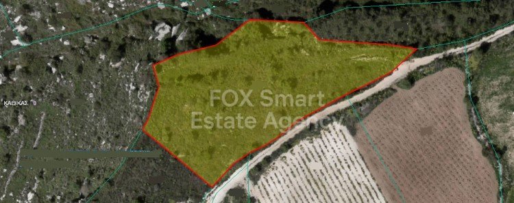 Land in Kathikas - view 1