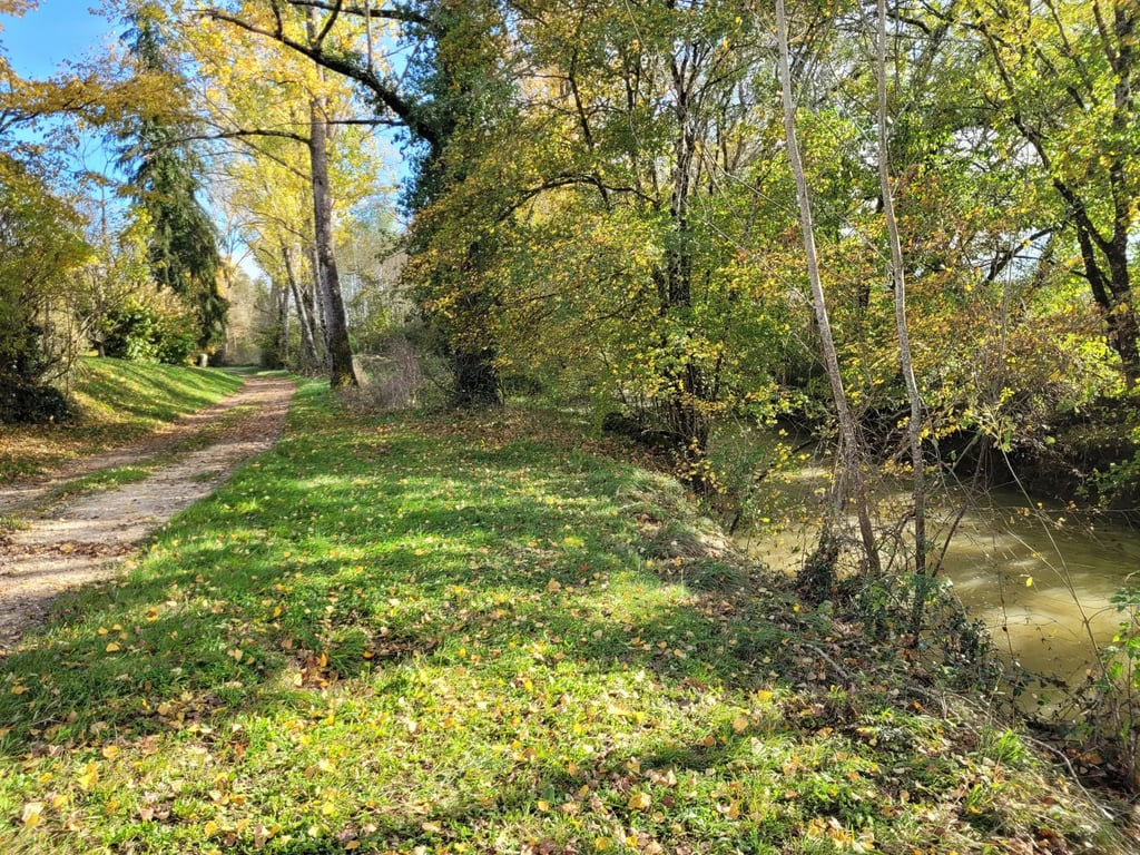 House in Arrondissement de Nerac - Image 3