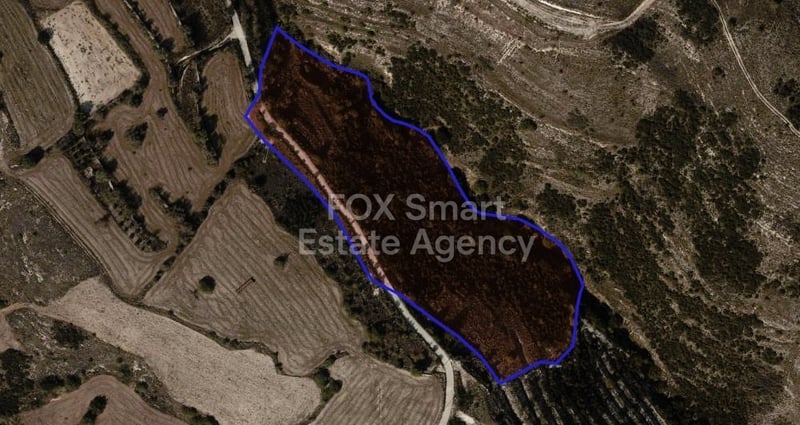 Land in Tsada - view 1