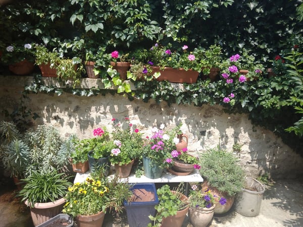 House in Saint-Germain-de-Confolens - view 1