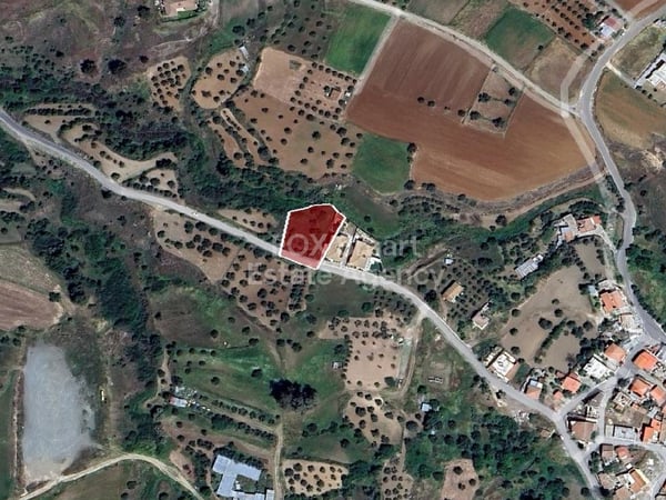 Land in Kalo Chorio (Oreinis) - view 1