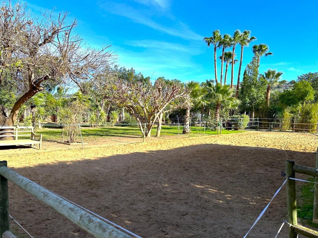 House in Estepona - Image 3