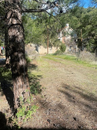 Land in Moniatis - view 1