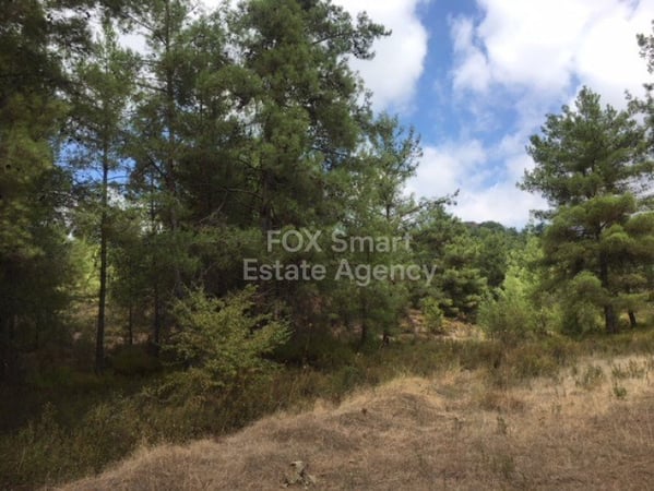 Land in Kalo Chorio (Oreinis) - view 1