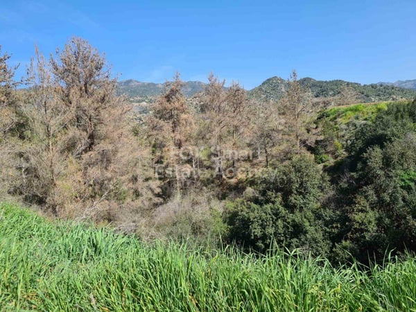 Land in Kalo Chorio (Oreinis) - view 1