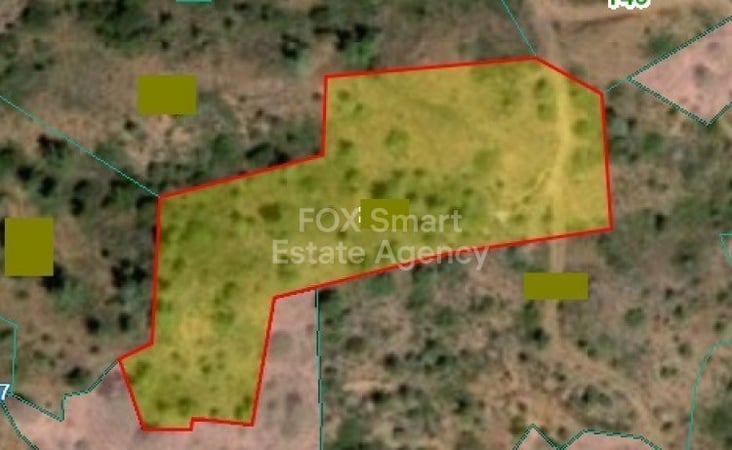 Land in Kalo Chorio (Oreinis) - view 1