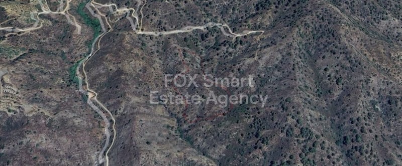 Land in Kalo Chorio (Oreinis) - view 1