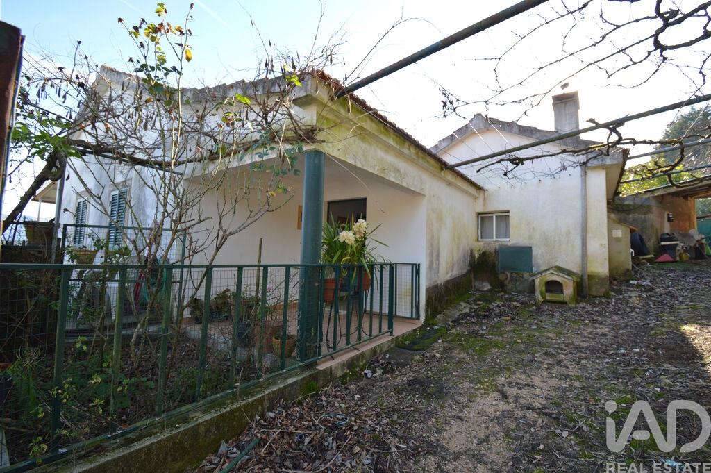 House in Penela