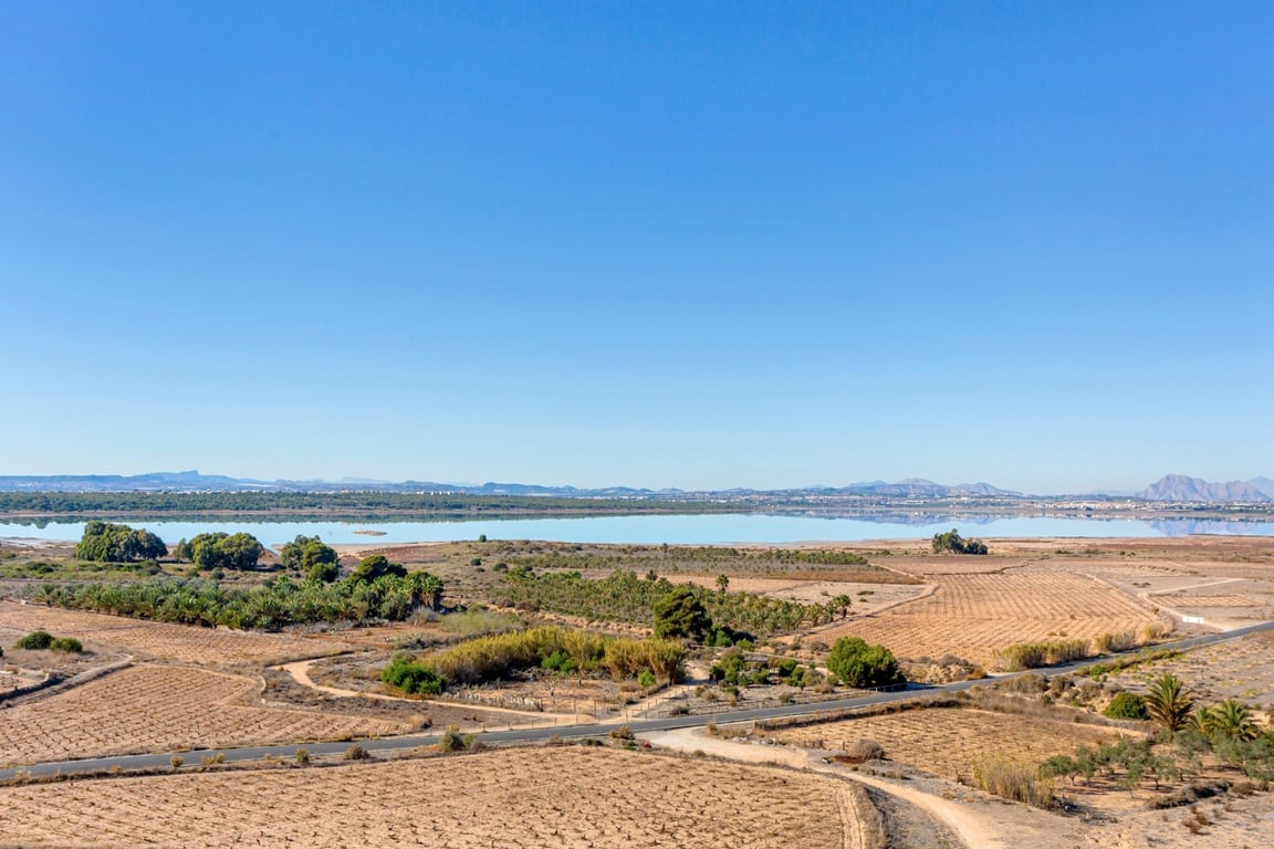 House in Torrelamata - Image 3