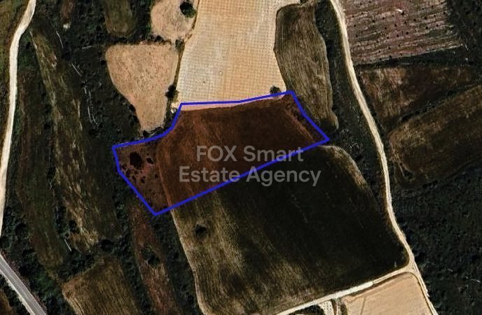 Land in Kathikas - view 1