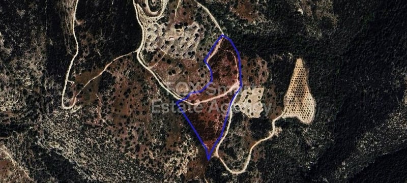 Land in Koili - view 1