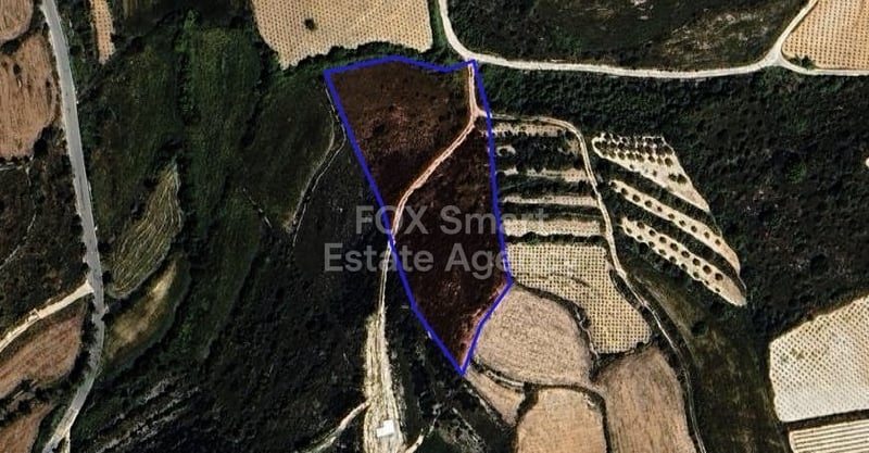 Land in Kathikas - view 1