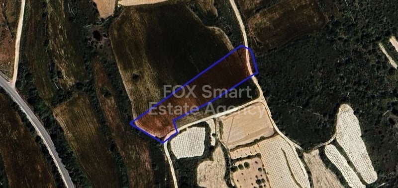 Land in Kathikas - view 1