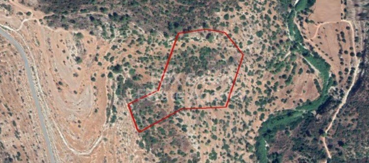 Land in Monagri - view 1