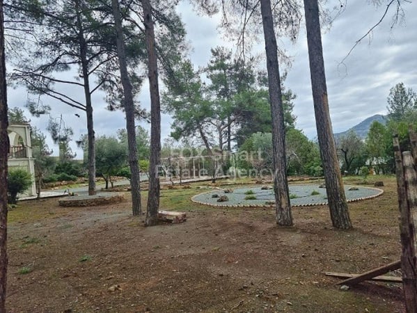 House in Moniatis - view 1