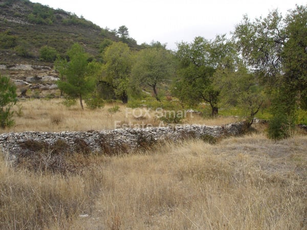 Land in Pera Pedi - view 1