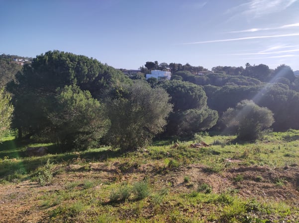 Land in Sotogrande - view 1