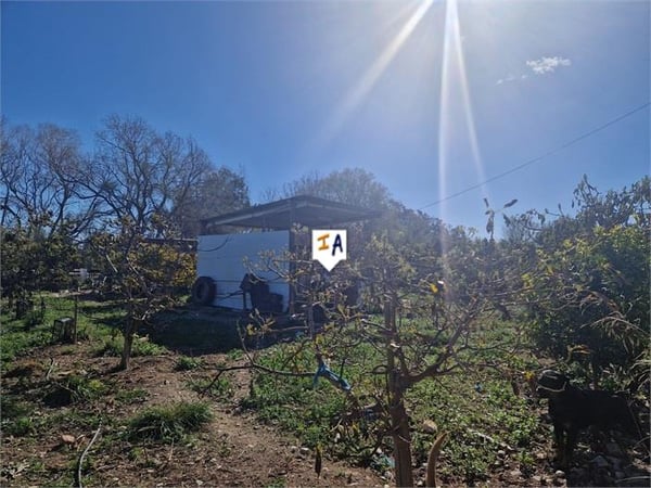 Land in Almayate Bajo - view 1