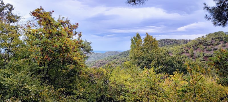 House in Pedoulas - view 1