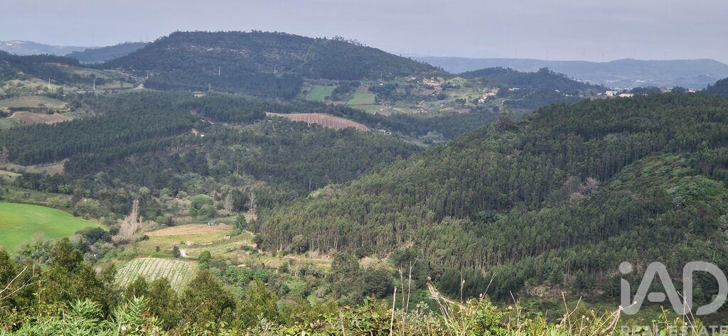 Land in Mafra - Image 2