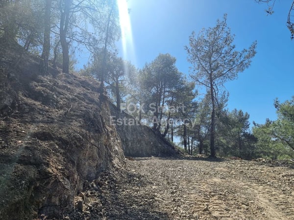 Land in Moniatis - view 1