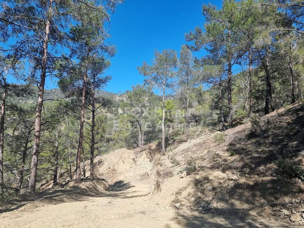 Land in Moniatis - view 1