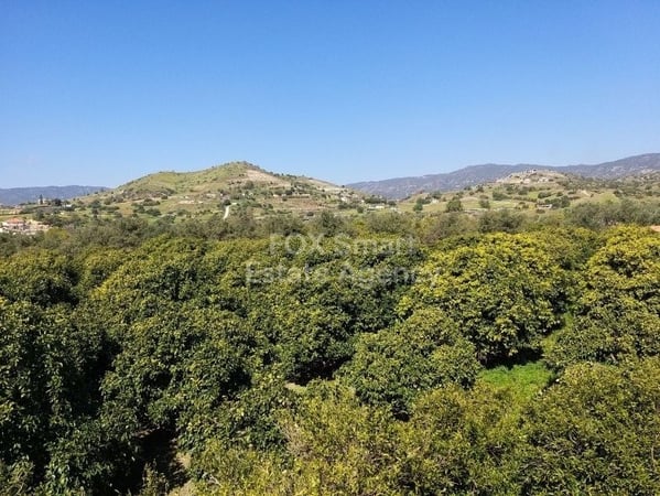 Land in Moni - view 1