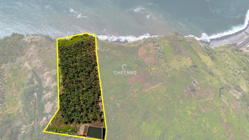 Land in Ribeira Brava - view 1