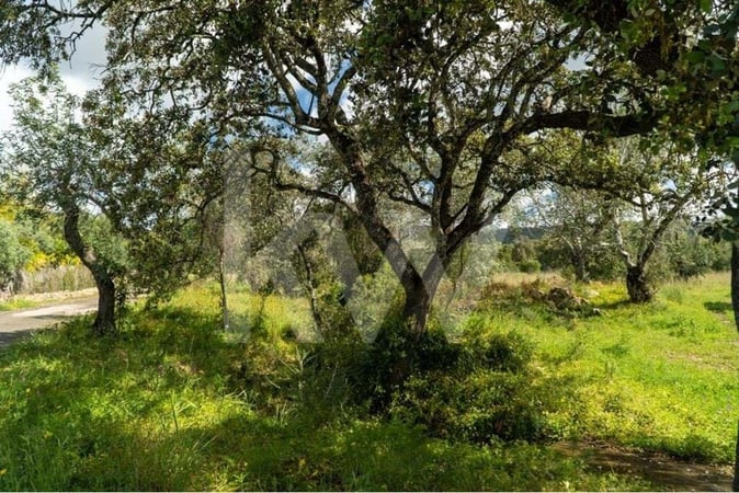 Land in Bordeira - view 1