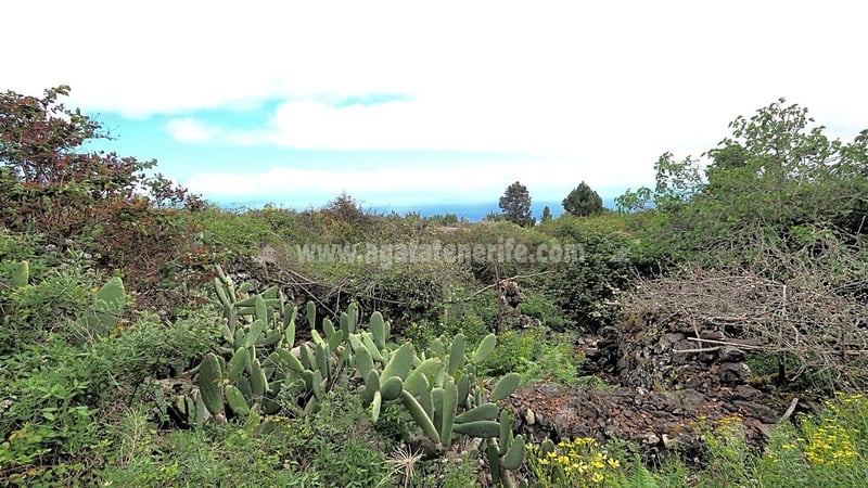Land in Santa Cruz de Tenerife - view 1