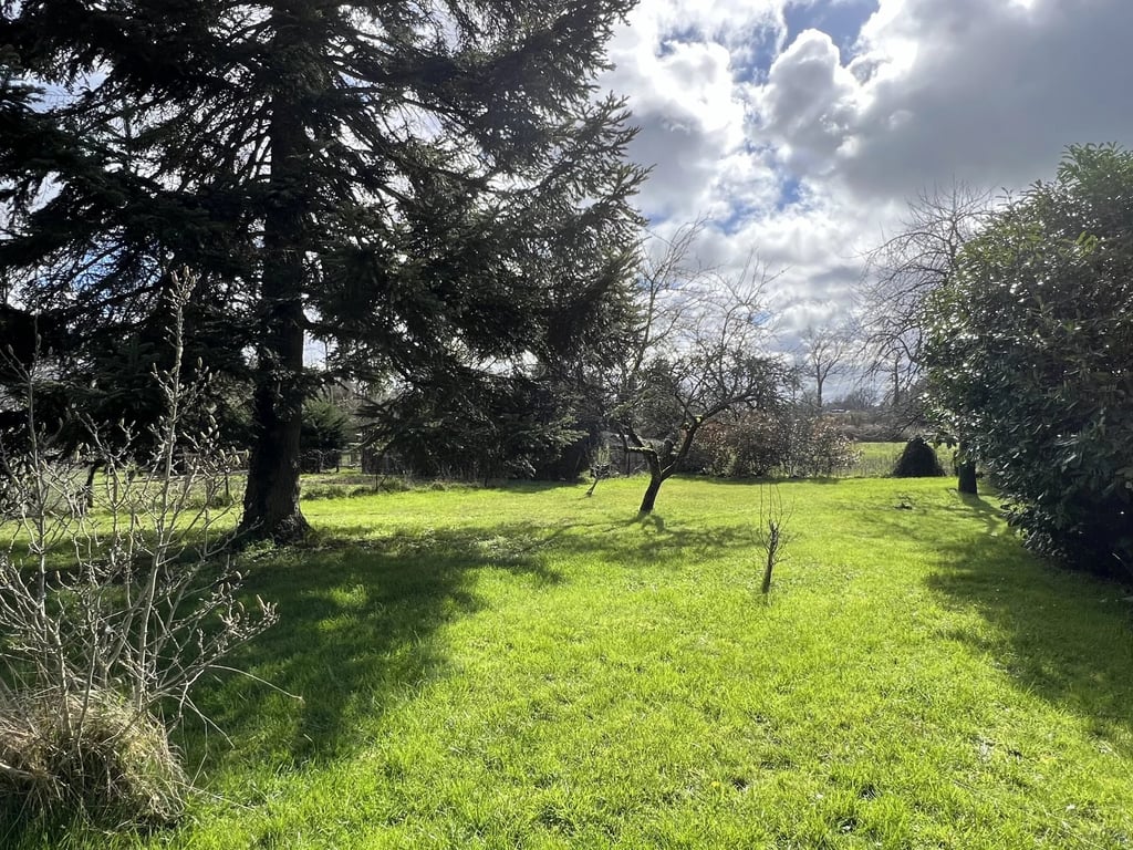 House in Cromac - Image 2