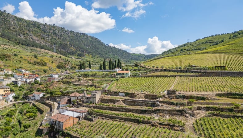 House in Parada do Bispo - view 1