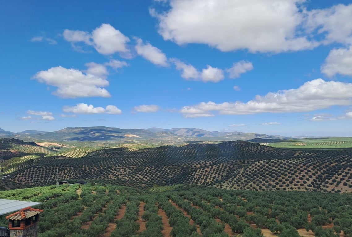 House in Fuente Alamo - Image 2