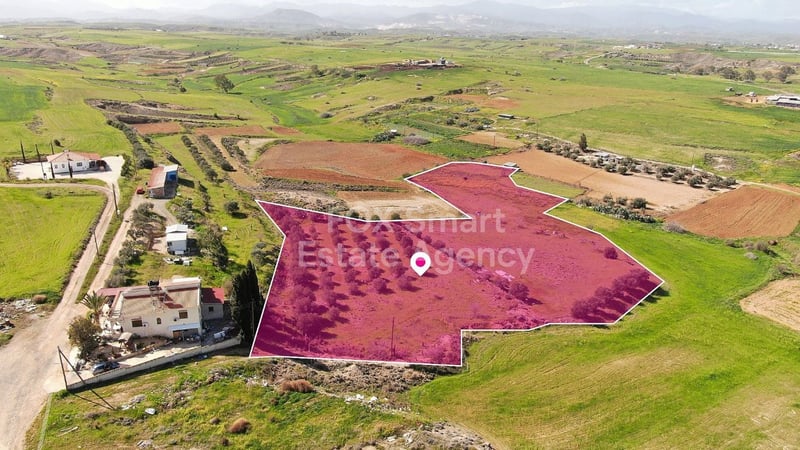 Land in Palaiometocho - view 1