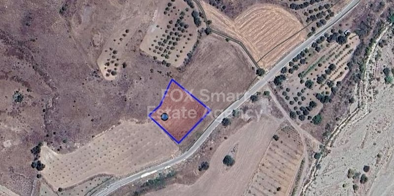 Land in Amargeti - view 1