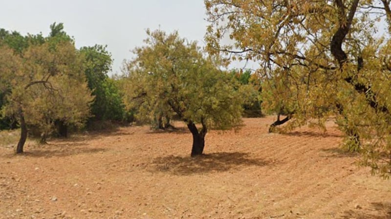 House in Estoi - view 1